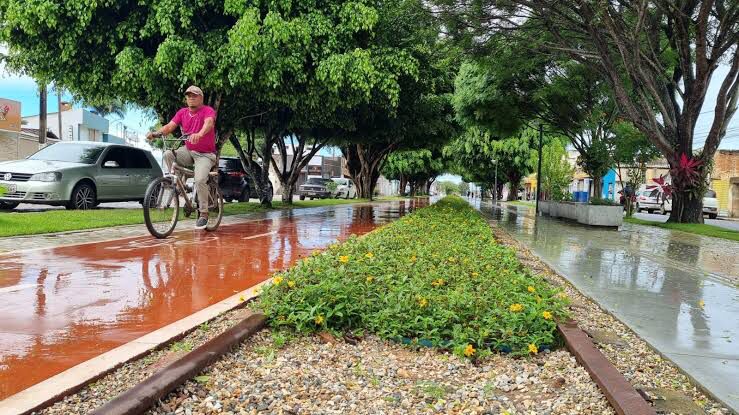 Leia mais sobre o artigo Arapiraca abre consulta pública para construção do Plano de Mobilidade Urbana