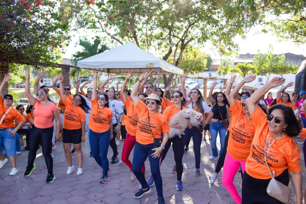 Leia mais sobre o artigo Caminhar é resistir: movimento nacional mobiliza Arapiraca pelo fim da violência contra mulheres e meninas